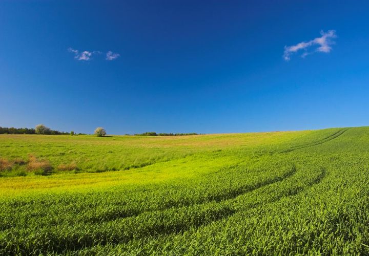 Terra a Roquettes, Haute-Garonne, Roquettes - € 113.000 | Ref: TERRAINS_ROQUETTES - foto 1