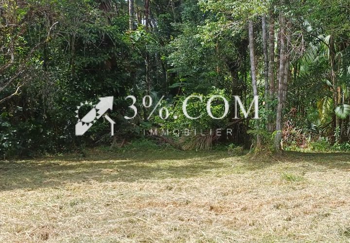 Terra a Matoury, French Guiana, Matoury - € 257.500 | Ref: 145_37121 - foto 1