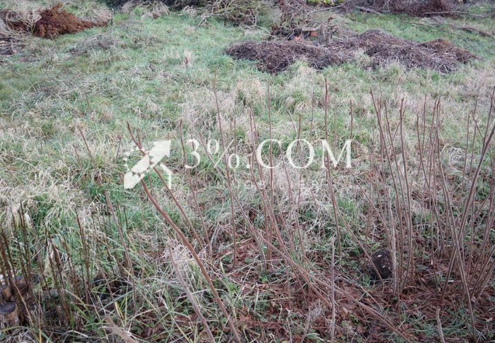 Helårsgrund i Leforest, Pas-de-Calais, Leforest - € 91.000 | Ref: 80_V1800062913 - foto 1