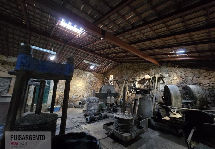 Farm i Aranhas, Castelo Branco, Aranhas - € 298.000 | Ref: MAS_226RS210126 - foto 1