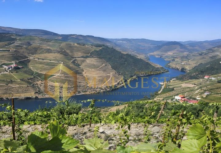 Farm i Tabuaco, Viseu, Tabuaco - € 760.000 | Ref: tab_P260101 - foto 1