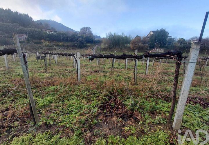Terra a Moncao, Viana do Castelo, Moncao - € 55.000 | Ref: 798707 - foto 1