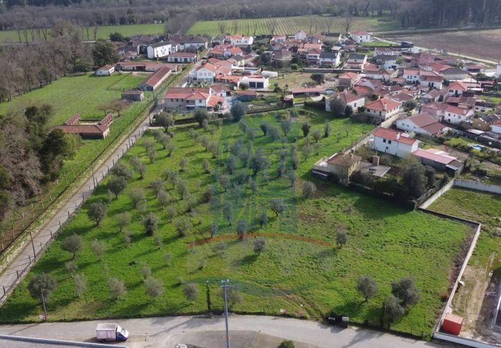 Helårsgrund i Ponte de Lima, Viana do Castelo, Ponte de Lima - € 680.000 | Ref: 6265 - foto 1