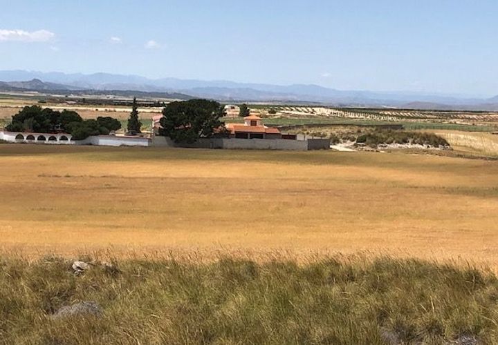 Helårsgrund i Jumilla, Murcia, Jumilla - € 3.000.000 | Ref: 81fada7b-be8d-4950-b - foto 1