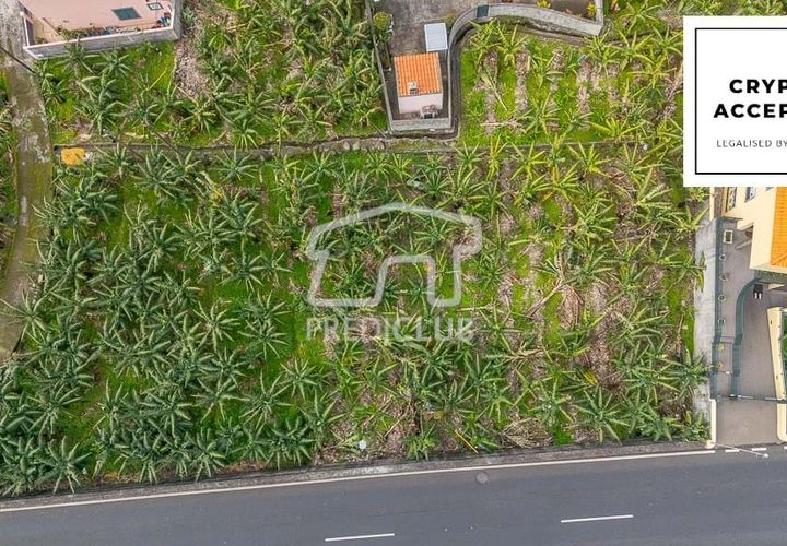 Terra a Ribeira Brava, Madeira, Ribeira Brava - € 365.000 | Ref: 11849-VG - foto 1