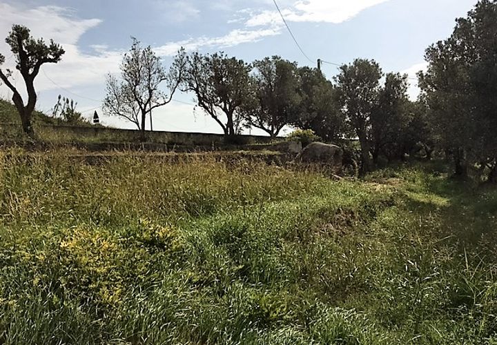Terra a Catanzaro, Catanzaro, Catanzaro - € 450.000 | Ref: 791/T - foto 1