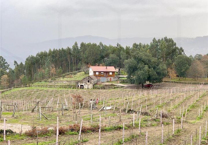 Villa i Melgaco, Viana do Castelo, Melgaco - € 295.000 | Ref: 02336 - foto 1