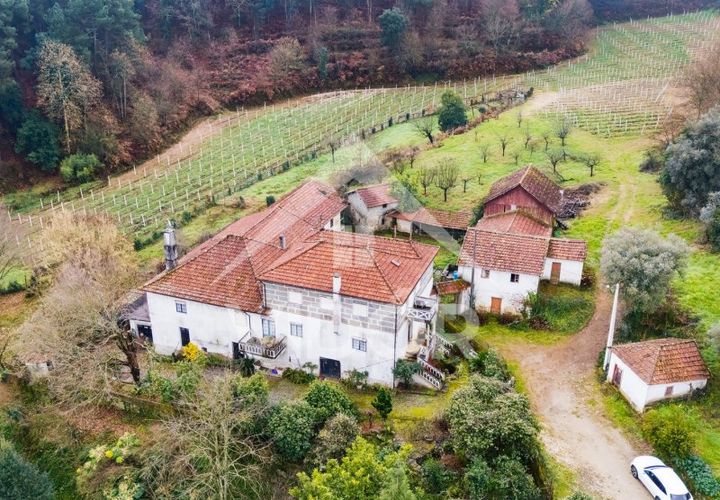 Farm i Amarante, Porto, Amarante - € 1.000.000 | Ref: 01.PO.01.002 - foto 1