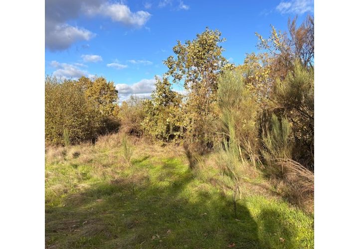 Helårsgrund i Guarda, Guarda, Guarda - € 64.900 | Ref: TER_121 - foto 1