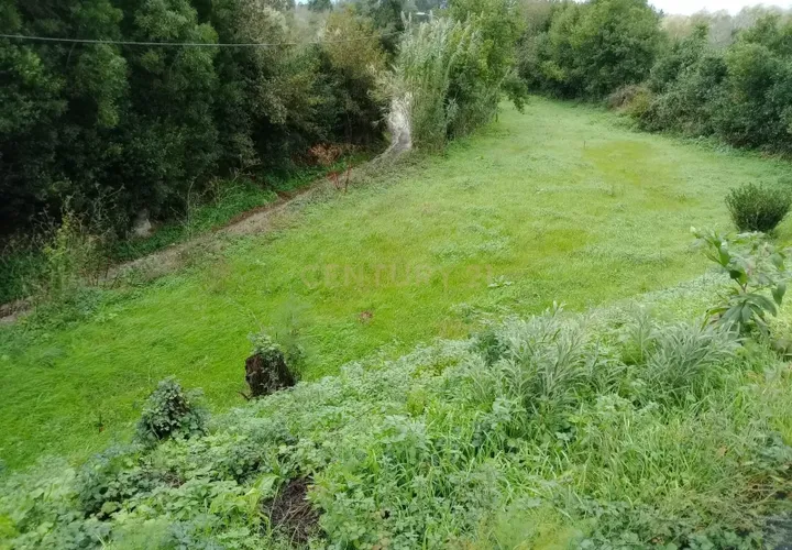 Helårsgrund i Aveiro, Aveiro, Aveiro - € 30.000 | Ref: C0385-00944 - foto 1