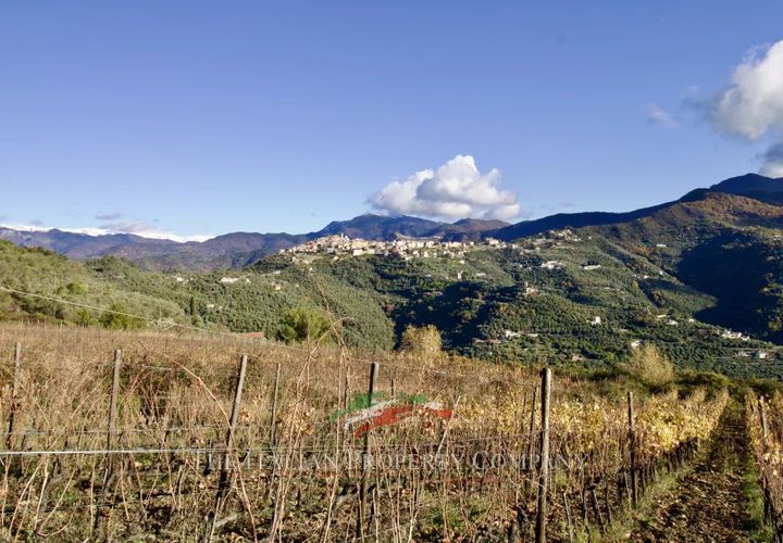 Helårsgrund i Perinaldo, Imperia, Perinaldo - € 275.000 | Ref: T220 - foto 1