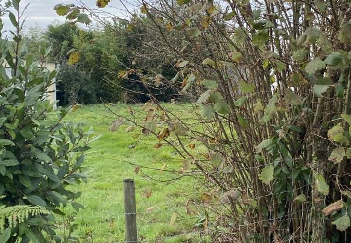 Terra a Reze, Loire-Atlantique, Reze - € 160.000 | Ref: AA-046 - foto 1