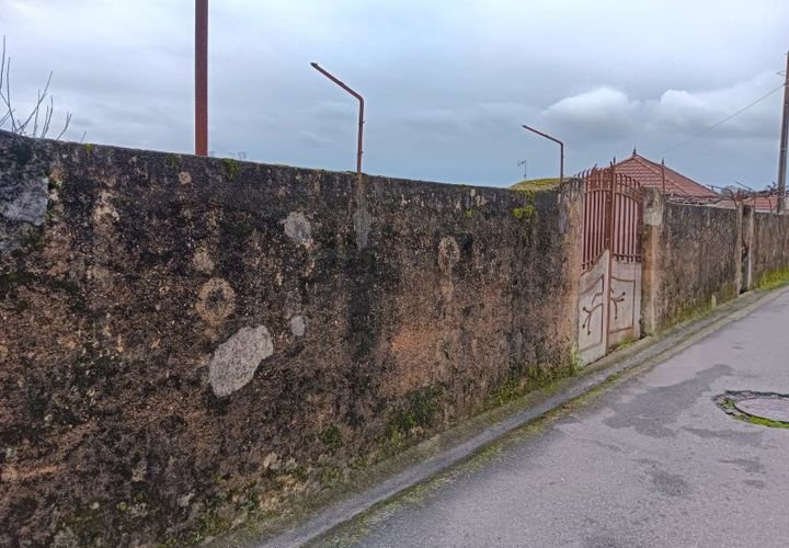 Terra a Branca, Aveiro, Branca - € 100.000 | Ref: AV26/011 - foto 1