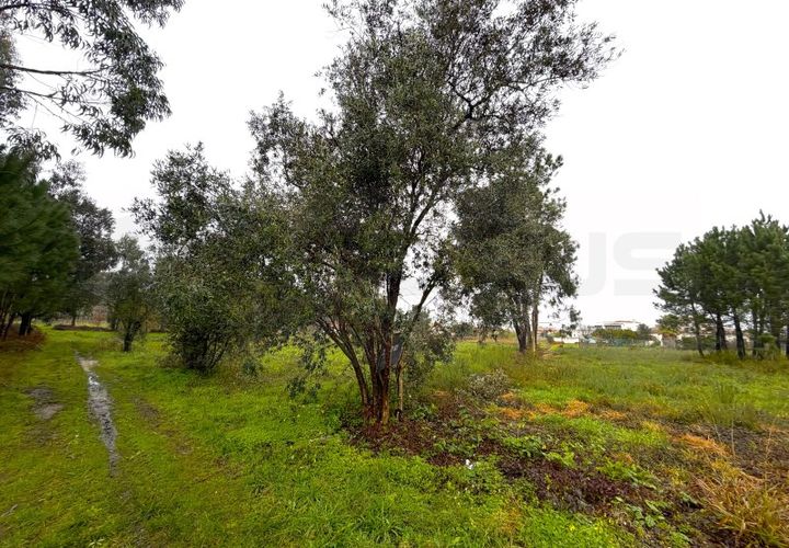 Terra em Arouca, Aveiro, Arouca - € 40.000 | Ref: AV26/009 - foto 1