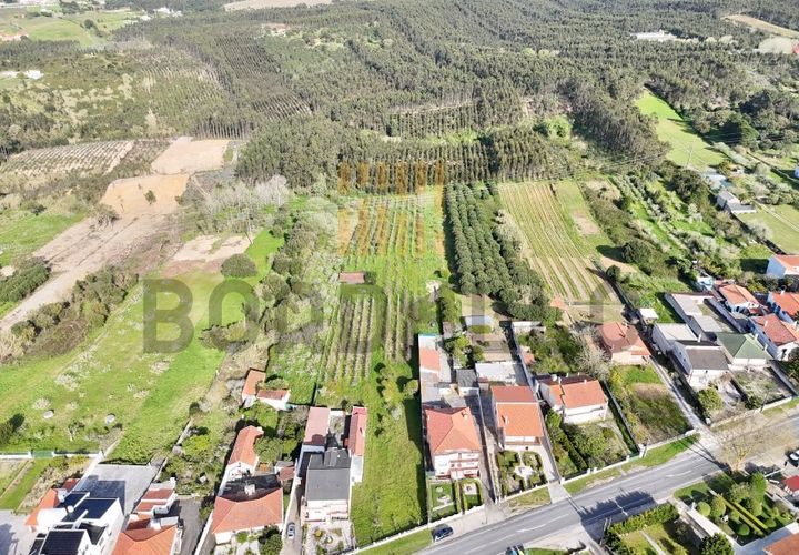 Terra a Gaeiras, Leiria, Gaeiras - € 77.500 | Ref: TER_669_RF - foto 1