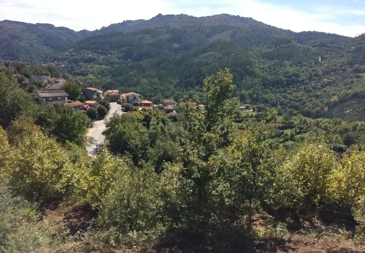 Terra a Parada do Bouro, Braga, Parada do Bouro - € 40.000 | Ref: C0256-03180 - foto 1