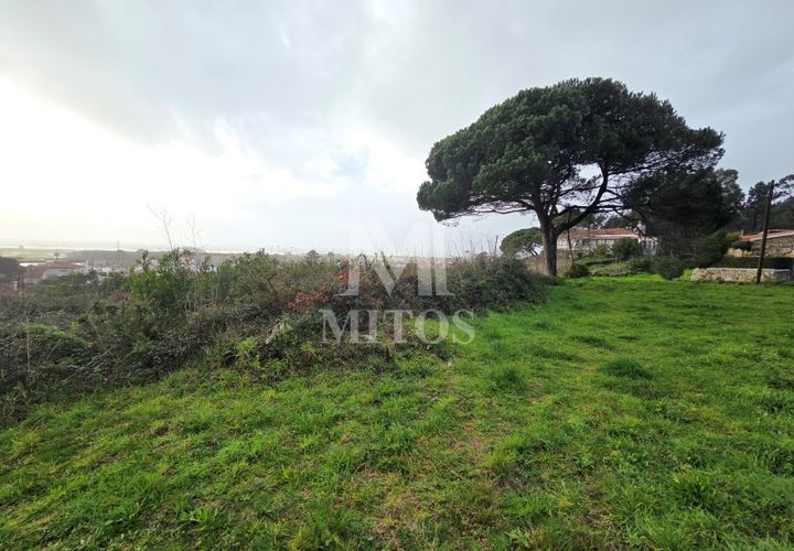 Terra a Areosa, Viana do Castelo, Areosa - € 780.000 | Ref: C575 - foto 1