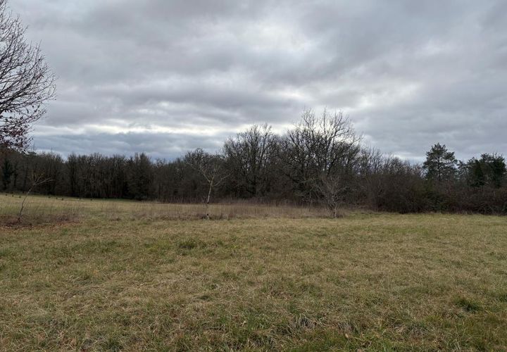 Helårsgrund i Sainte-Eulalie-D'Ans, Dordogne, Sainte-Eulalie-D'Ans - € 19.000 | Ref: BOEP87 - foto 1