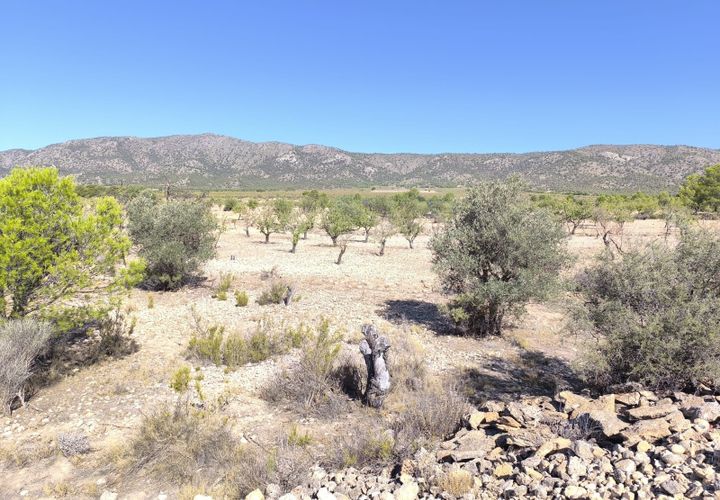 Helårsgrund i Monovar, Alicante, Monovar - € 20.990 | Ref: 70067a - foto 1