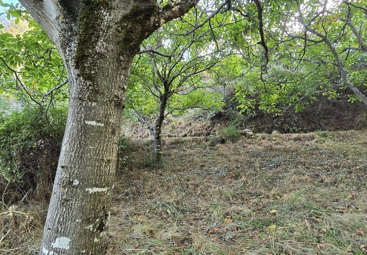 Terra a Viariz, Porto, Viariz - € 30.000 | Ref: C0471-00376 - foto 1
