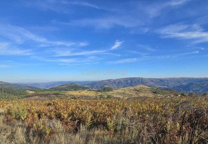 Terra a Viariz, Porto, Viariz - € 50.000 | Ref: C0471-00377 - foto 1