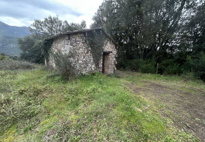 Terra a Vero, Corse-du-Sud, Vero - € 215.000 | Ref: 3011442779 - foto 1
