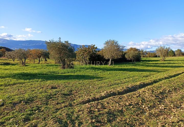 Helårsgrund i Covilha, Castelo Branco, Covilha - € 24.990 | Ref: C0434-01154 - foto 1