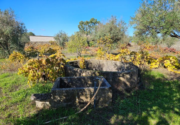 Helårsgrund i Castelo Branco, Castelo Branco, Castelo Branco - € 52.000 | Ref: C0434-01031 - foto 1