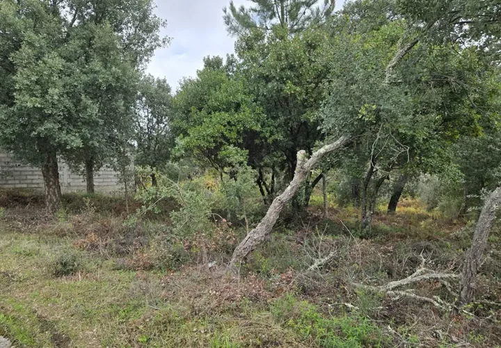 Helårsgrund i Serta, Castelo Branco, Serta - € 62.500 | Ref: C0434-01139 - foto 1