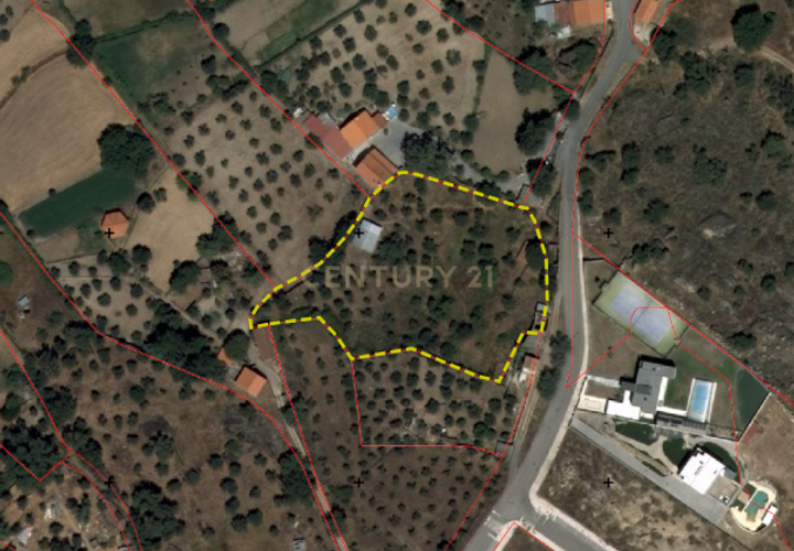 Helårsgrund i Castelo Branco, Castelo Branco, Castelo Branco - € 510.000 | Ref: C0434-01201 - foto 1
