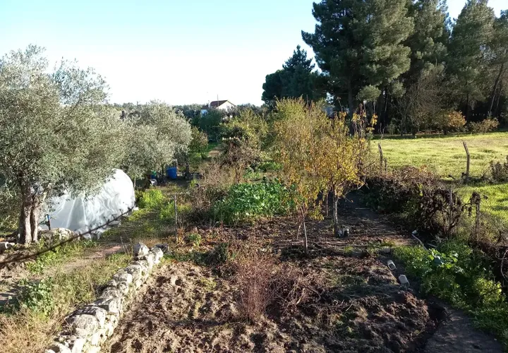 Farm hus i Castelo Branco, Castelo Branco, Castelo Branco - € 23.500 | Ref: C0434-00241 - foto 1