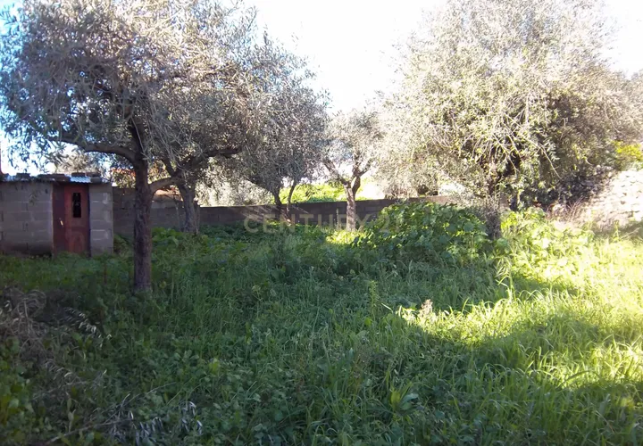 Helårsgrund i Castelo Branco, Castelo Branco, Castelo Branco - € 18.000 | Ref: C0434-00293 - foto 1