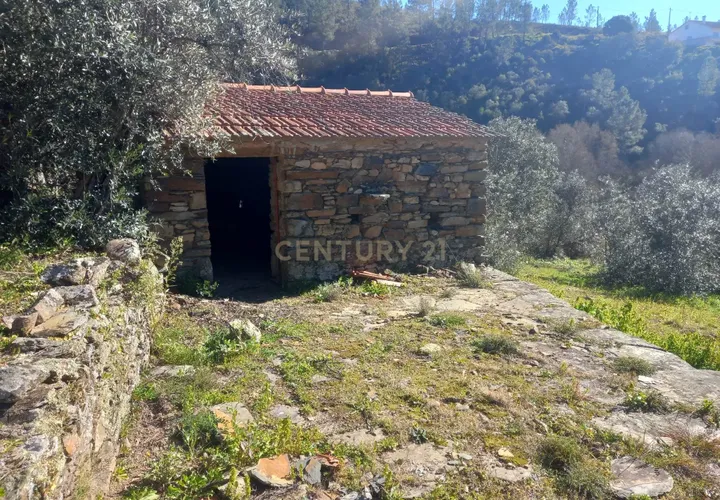 Helårsgrund i Castelo Branco, Castelo Branco, Castelo Branco - € 15.750 | Ref: C0434-00296 - foto 1