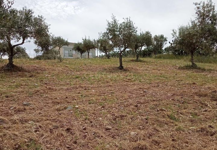 Helårsgrund i Castelo Branco, Castelo Branco, Castelo Branco - € 45.000 | Ref: C0434-00401 - foto 1