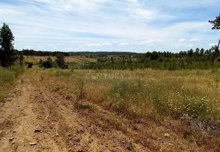 Farm hus i Ninho do Acor, Castelo Branco, Ninho do Acor - € 32.500 | Ref: C0434-00751 - foto 1