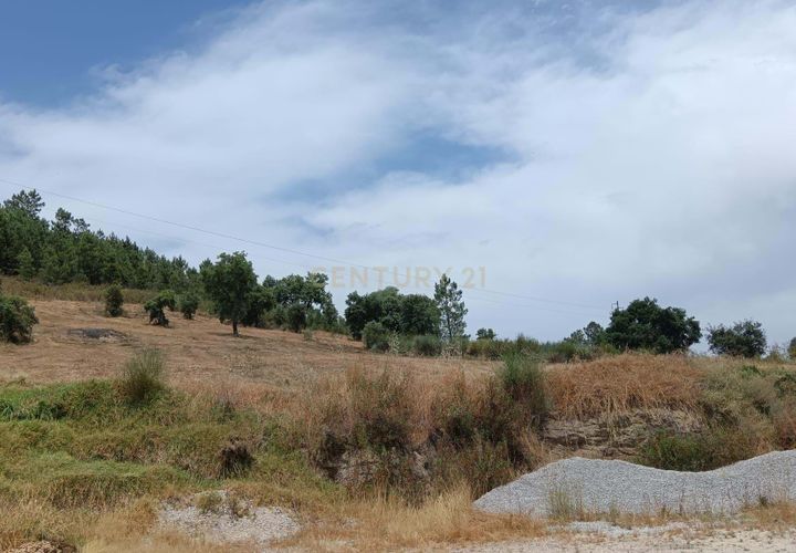 Helårsgrund i Castelo Branco, Castelo Branco, Castelo Branco - € 55.000 | Ref: C0434-01048 - foto 1