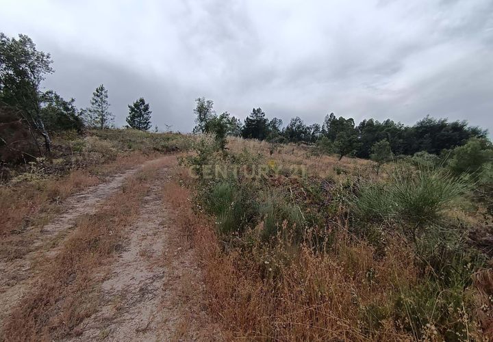 Helårsgrund i Castelo Branco, Castelo Branco, Castelo Branco - € 15.000 | Ref: C0434-01076 - foto 1