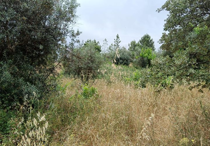 Helårsgrund i Castelo Branco, Castelo Branco, Castelo Branco - € 5.000 | Ref: C0434-01077 - foto 1