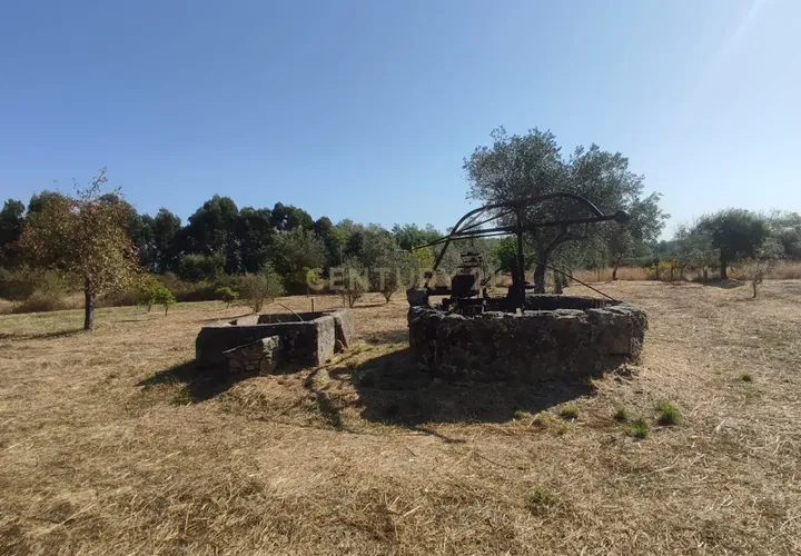 Helårsgrund i Castelo Branco, Castelo Branco, Castelo Branco - € 26.000 | Ref: C0434-01123 - foto 1
