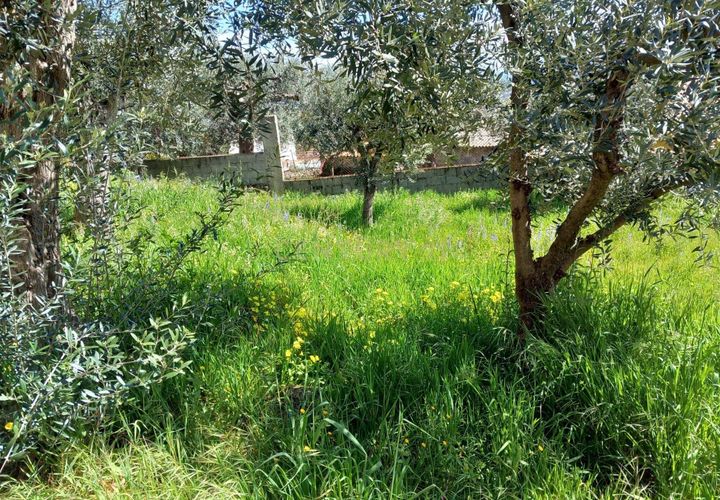 Terra a Fundao, Castelo Branco, Fundao - € 7.600 | Ref: C0434-00324 - foto 1