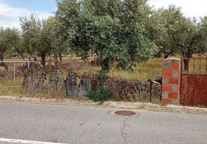 Helårsgrund i Castelo Branco, Castelo Branco, Castelo Branco - € 30.000 | Ref: C0434-00402 - foto 1