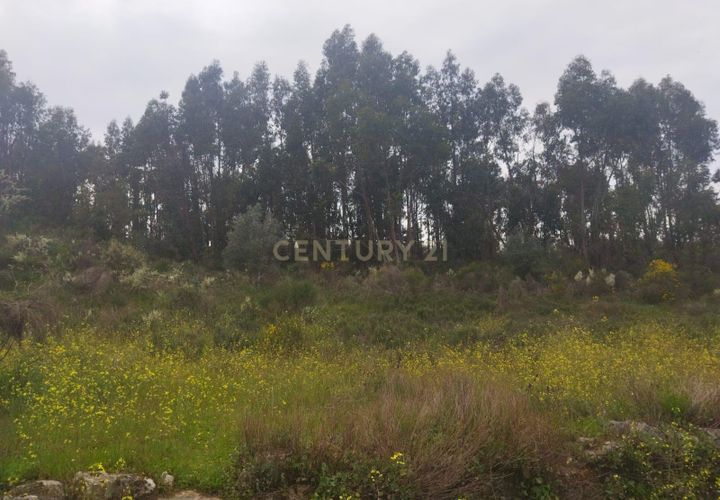 Tomt i Escalos de Cima e Lousa, Castelo Branco, Escalos de Cima e Lousa - € 42 000 | Ref: C0434-00699 - foto 1