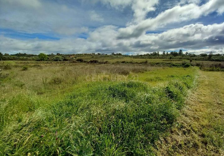 Terra a Ninho do Acor, Castelo Branco, Ninho do Acor - € 27.500 | Ref: C0434-00709 - foto 1