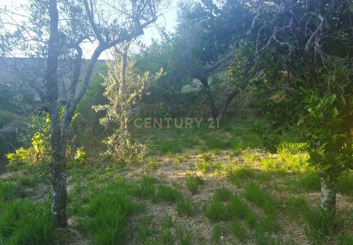 Helårsgrund i Castelo Branco, Castelo Branco, Castelo Branco - € 7.500 | Ref: C0434-00815 - foto 1