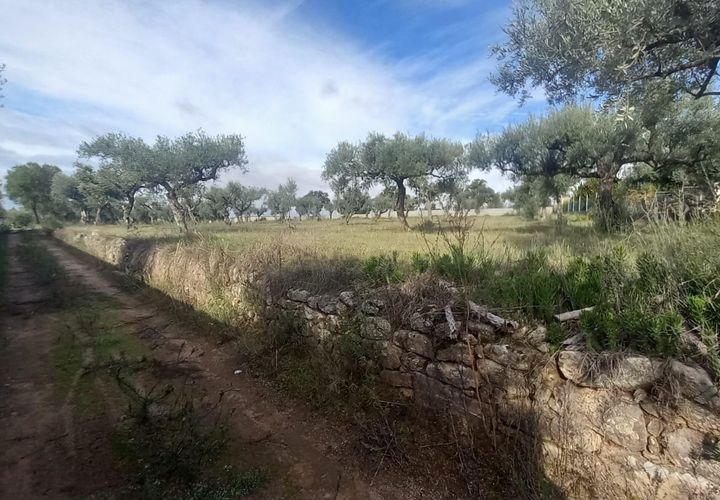 Helårsgrund i Castelo Branco, Castelo Branco, Castelo Branco - € 27.500 | Ref: C0434-00879 - foto 1