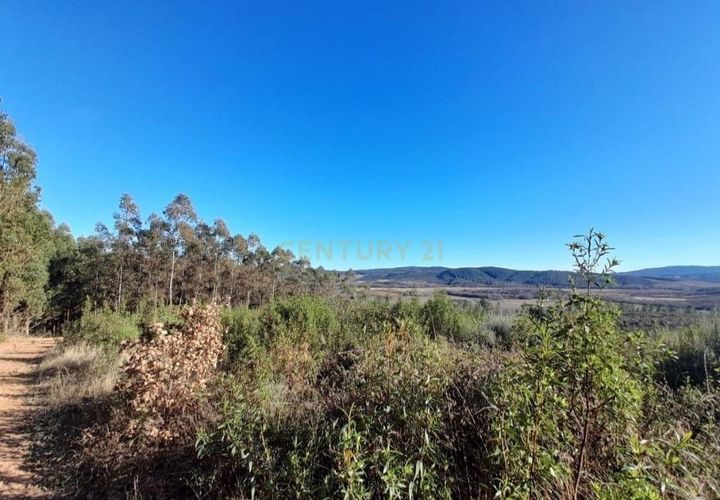 Helårsgrund i Fundao, Castelo Branco, Fundao - € 64.990 | Ref: C0434-01156 - foto 1