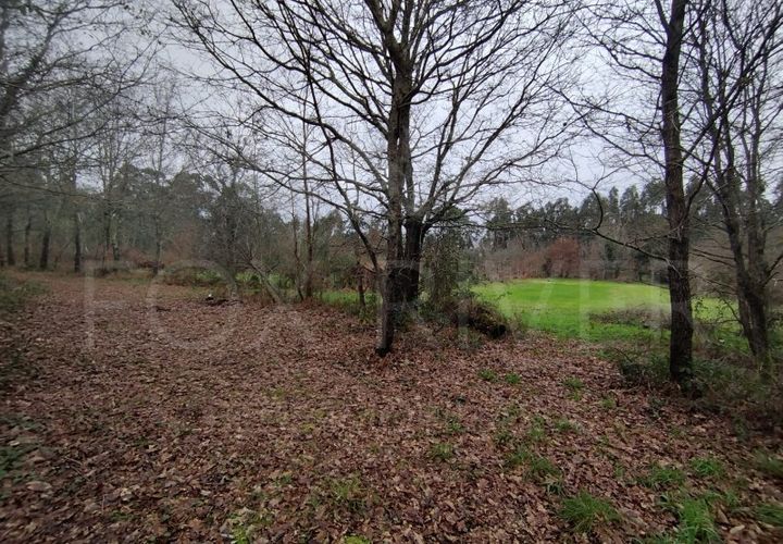 Helårsgrund i Ganfei, Viana do Castelo, Ganfei - € 18.000 | Ref: UNU-F1-12-6 - foto 1