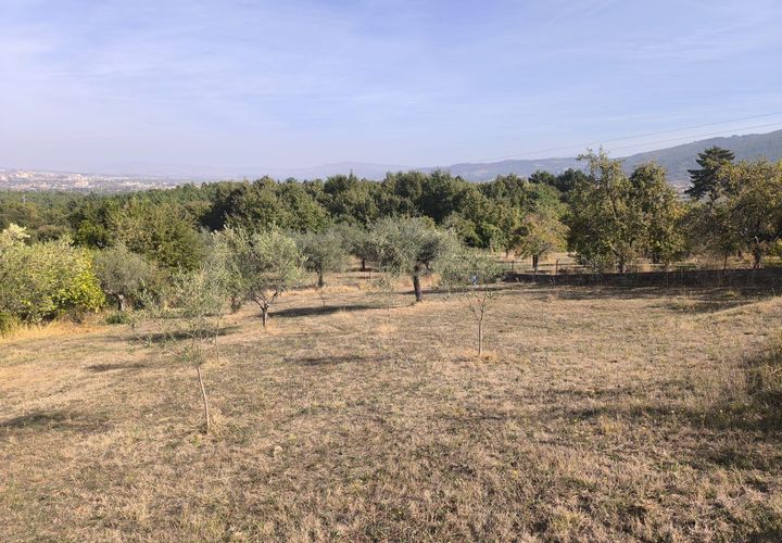 Terreno en Chaves, Vila Real, Chaves - € 65.000 | Ref: C0533-00063 - photo 1