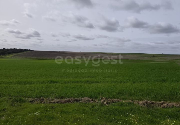 Helårsgrund i Aljustrel, Beja, Aljustrel - € 56.500 | Ref: BJ98639AJ - foto 1