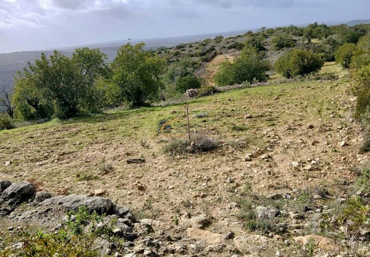 Terra a Paderne, Faro, Paderne - € 97.000 | Ref: NC207 - foto 1